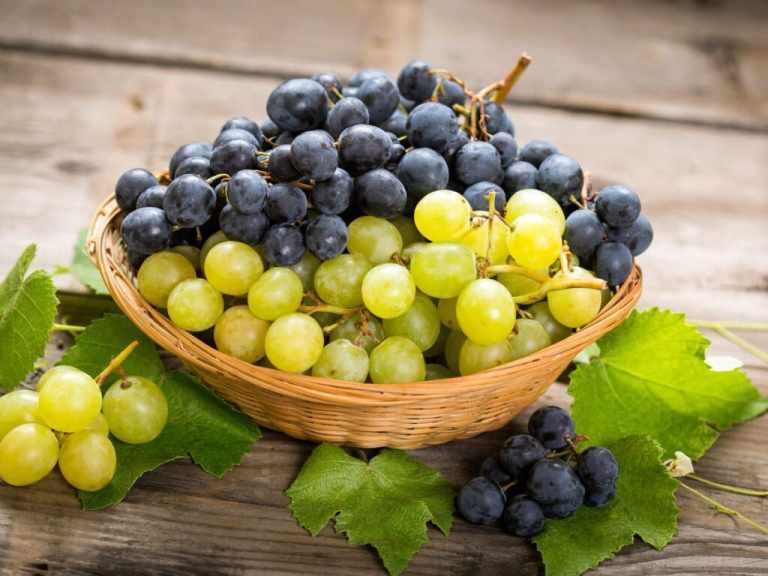 Grapes